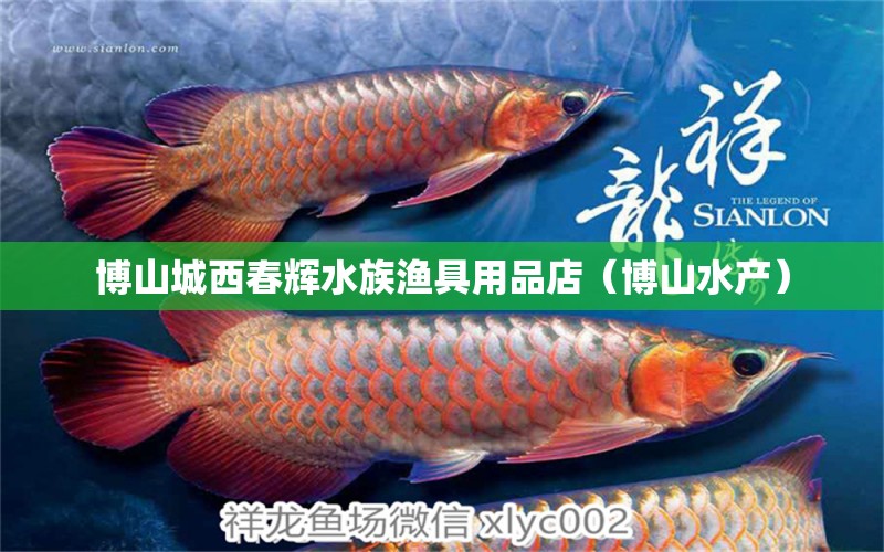 博山城西春辉水族渔具用品店（博山水产） 全国水族馆企业名录