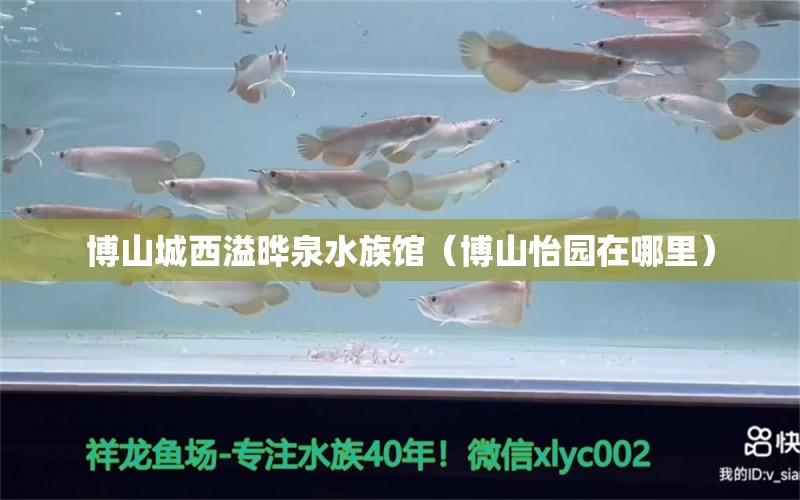 博山城西溢晔泉水族馆（博山怡园在哪里）