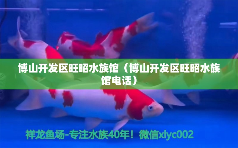 博山开发区旺昭水族馆（博山开发区旺昭水族馆电话）