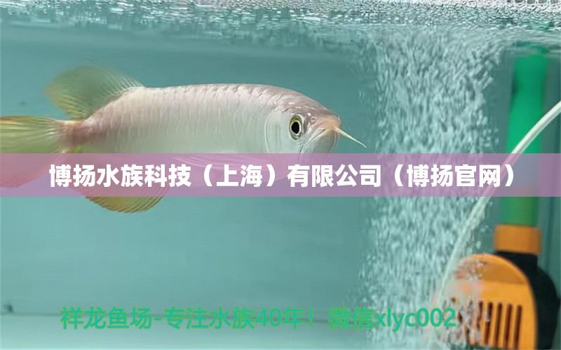 博扬水族科技（上海）有限公司（博扬官网）