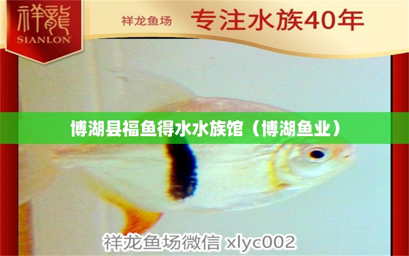 博湖县福鱼得水水族馆（博湖鱼业）