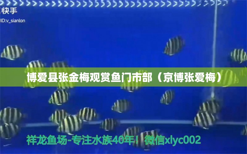 博爱县张金梅观赏鱼门市部（京博张爱梅） 全国水族馆企业名录