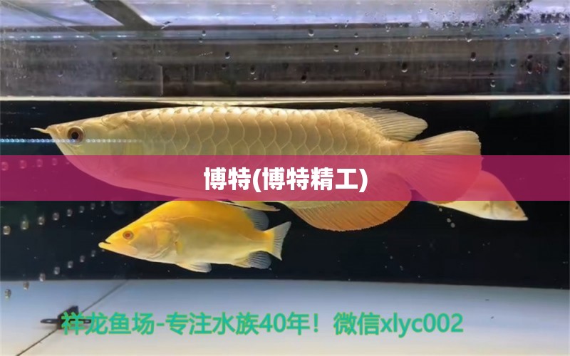 博特(博特精工)