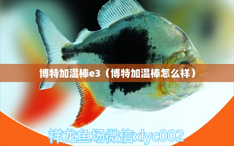 博特加温棒e3（博特加温棒怎么样）