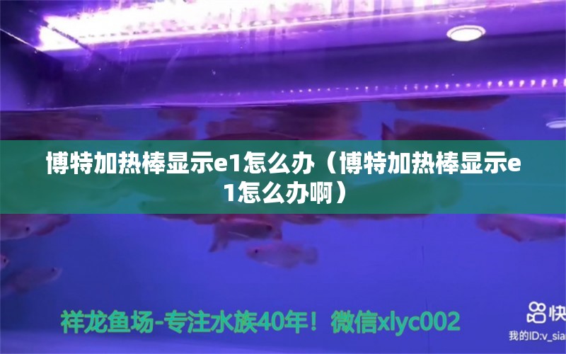 博特加热棒显示e1怎么办（博特加热棒显示e1怎么办啊） 博特水族