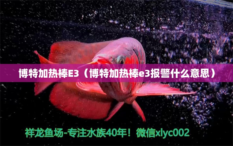 博特加热棒E3（博特加热棒e3报警什么意思）