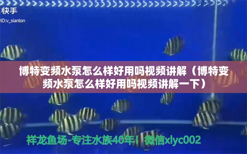 博特变频水泵怎么样好用吗视频讲解（博特变频水泵怎么样好用吗视频讲解一下） 博特水族