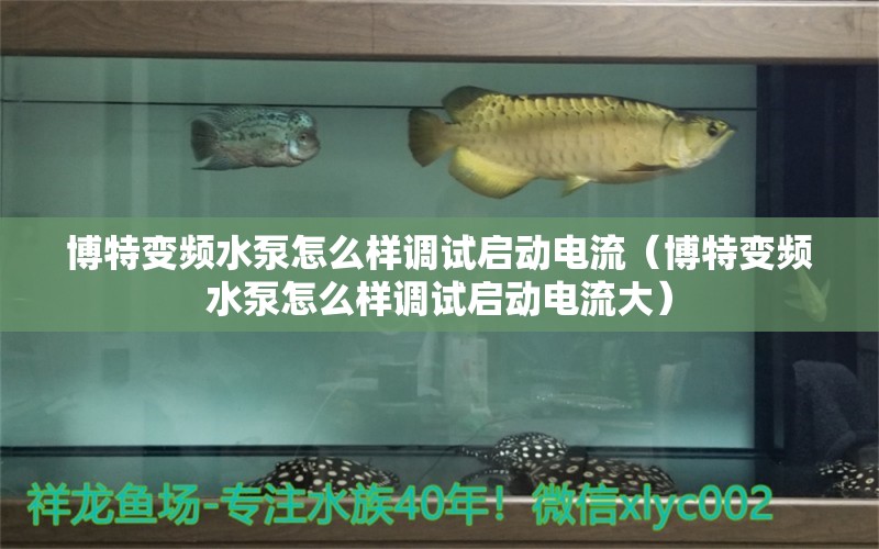 博特变频水泵怎么样调试启动电流（博特变频水泵怎么样调试启动电流大）