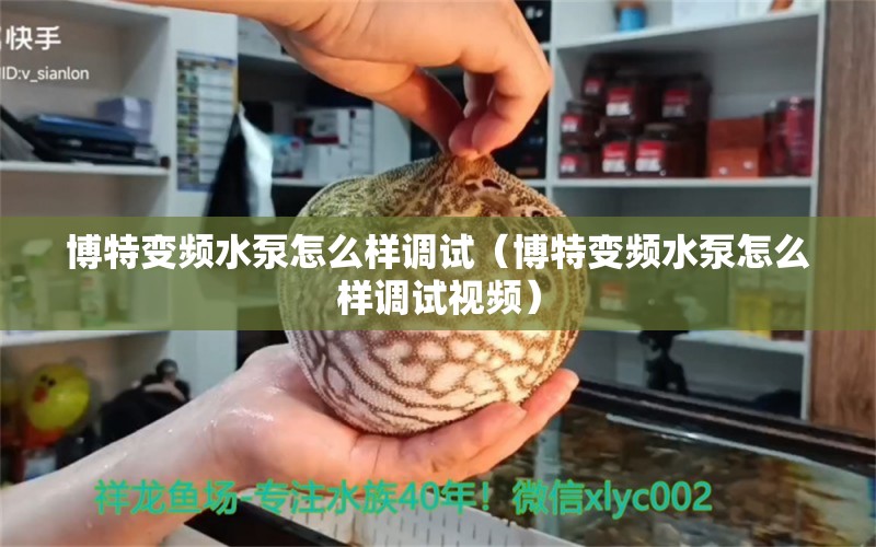 博特变频水泵怎么样调试（博特变频水泵怎么样调试视频）