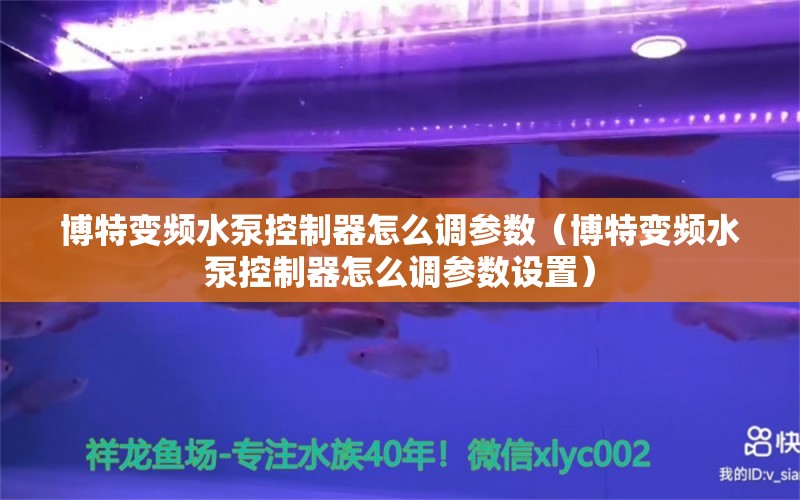 博特变频水泵控制器怎么调参数（博特变频水泵控制器怎么调参数设置）