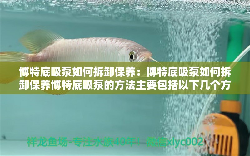 博特底吸泵如何拆卸保养：博特底吸泵如何拆卸保养博特底吸泵的方法主要包括以下几个方面