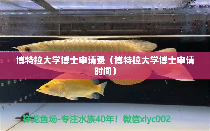 博特拉大学博士申请费（博特拉大学博士申请时间）