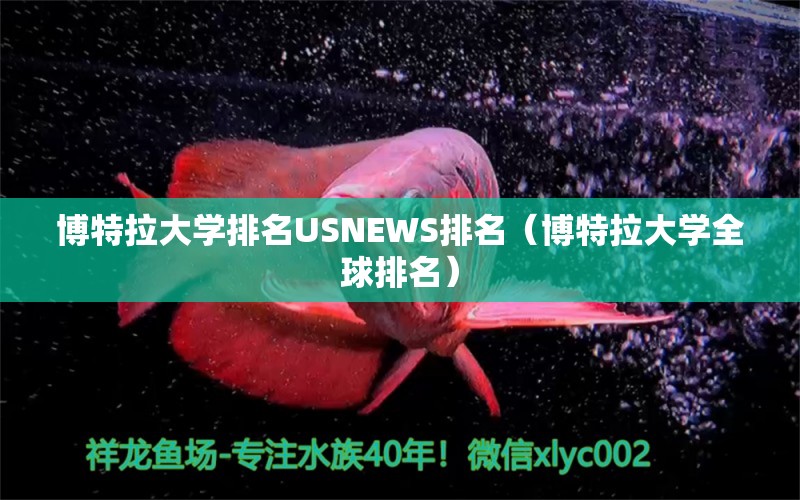 博特拉大学排名USNEWS排名（博特拉大学全球排名）