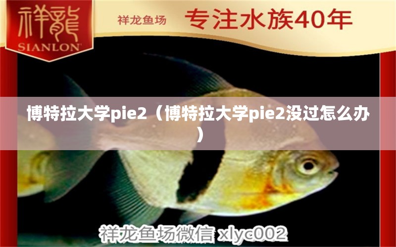 博特拉大学pie2（博特拉大学pie2没过怎么办）