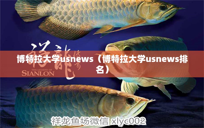 博特拉大学usnews（博特拉大学usnews排名）