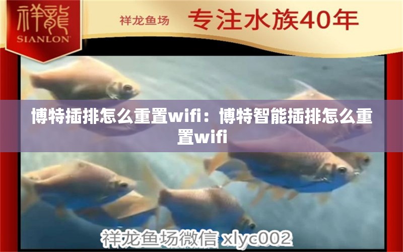 博特插排怎么重置wifi：博特智能插排怎么重置wifi