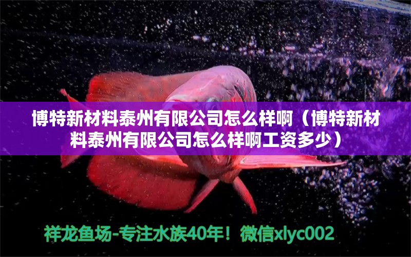 博特新材料泰州有限公司怎么样啊（博特新材料泰州有限公司怎么样啊工资多少）