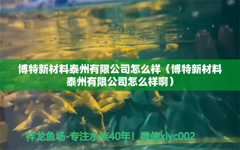 博特新材料泰州有限公司怎么样（博特新材料泰州有限公司怎么样啊）