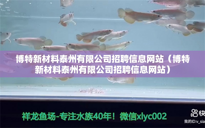 博特新材料泰州有限公司招聘信息网站（博特新材料泰州有限公司招聘信息网站）