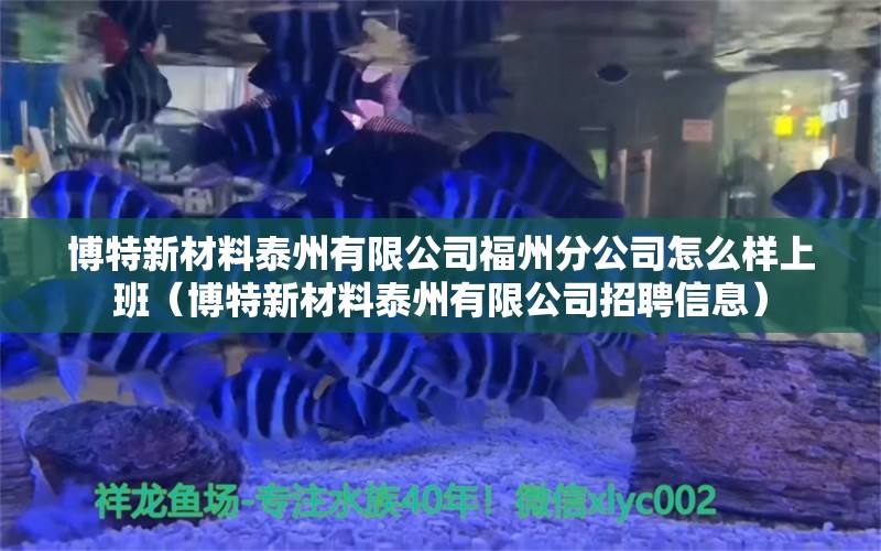 博特新材料泰州有限公司福州分公司怎么样上班（博特新材料泰州有限公司招聘信息）