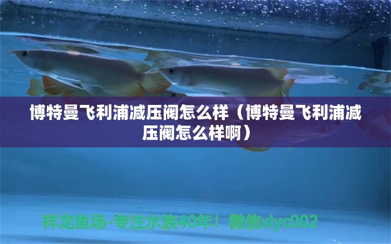 博特曼飞利浦减压阀怎么样（博特曼飞利浦减压阀怎么样啊） 博特水族