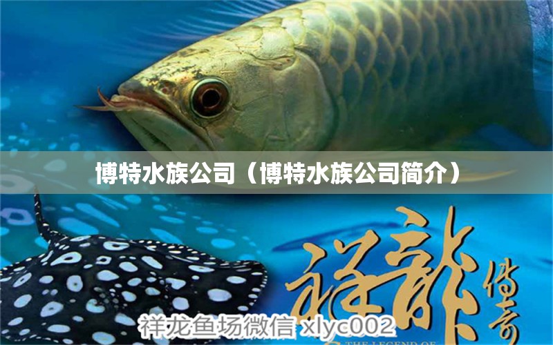 博特水族公司（博特水族公司简介）