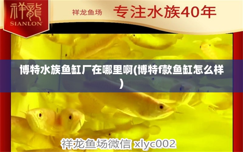 博特水族鱼缸厂在哪里啊(博特f款鱼缸怎么样) 博特水族 第1张