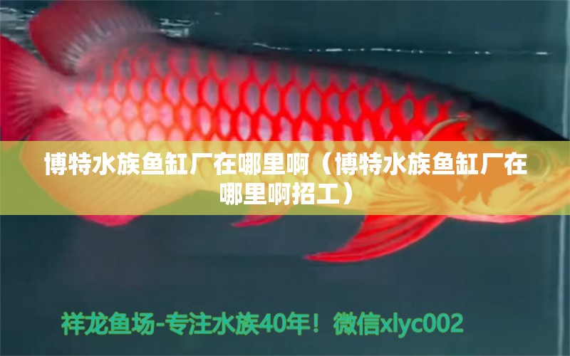 博特水族鱼缸厂在哪里啊（博特水族鱼缸厂在哪里啊招工）