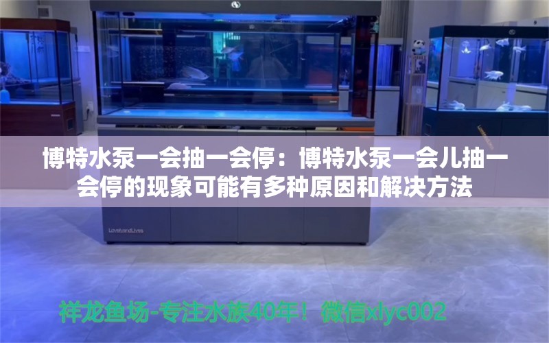 博特水泵一会抽一会停：博特水泵一会儿抽一会停的现象可能有多种原因和解决方法