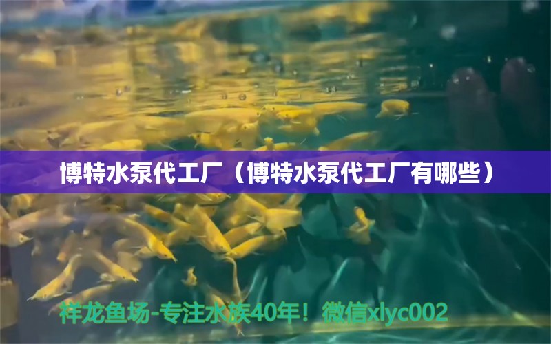 博特水泵代工厂（博特水泵代工厂有哪些）