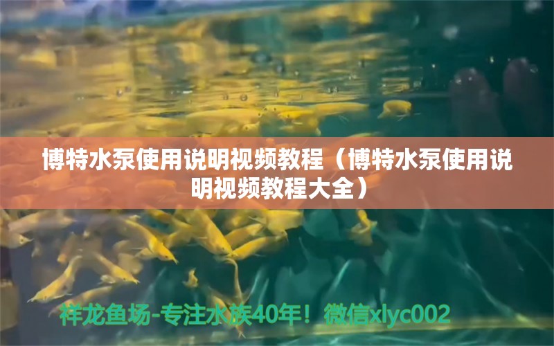 博特水泵使用说明视频教程（博特水泵使用说明视频教程大全） 博特水族