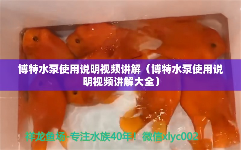 博特水泵使用说明视频讲解（博特水泵使用说明视频讲解大全） 博特水族