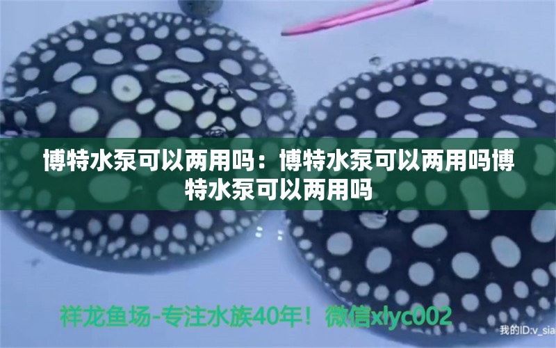 博特水泵可以两用吗：博特水泵可以两用吗博特水泵可以两用吗