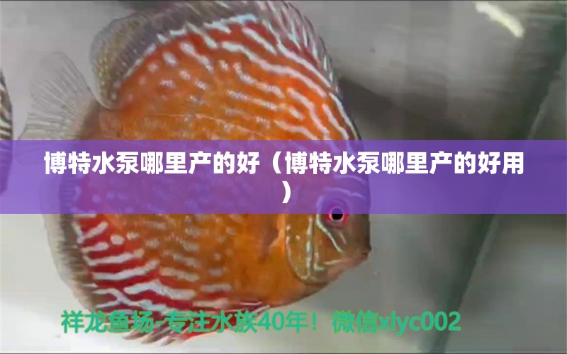 博特水泵哪里产的好（博特水泵哪里产的好用） 博特水族