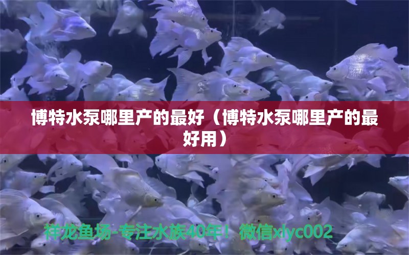 博特水泵哪里产的最好（博特水泵哪里产的最好用）