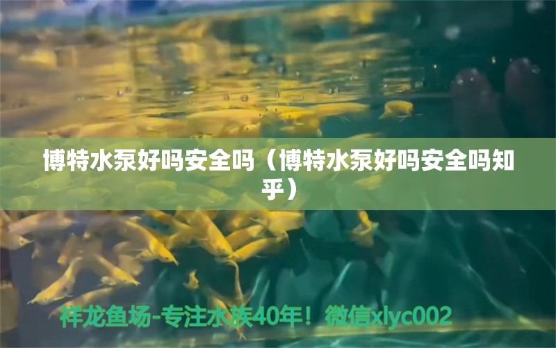 博特水泵好吗安全吗（博特水泵好吗安全吗知乎） 博特水族