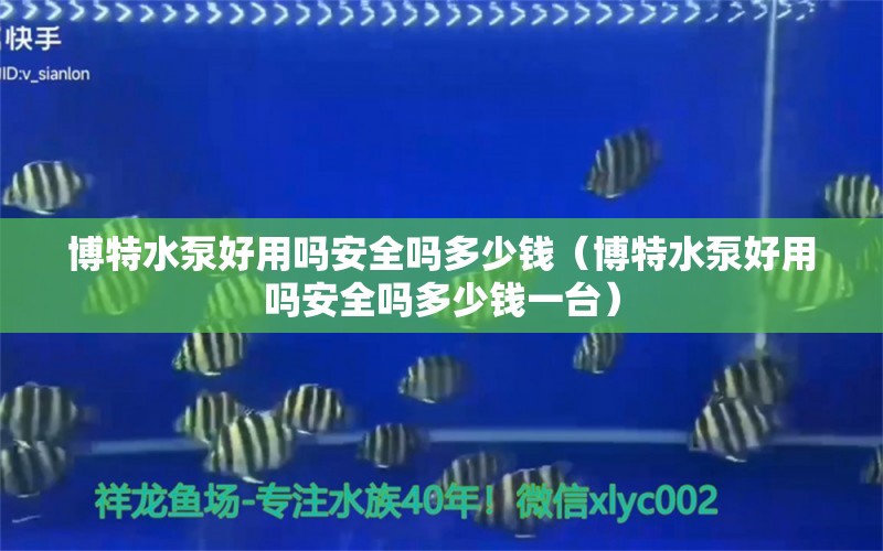 博特水泵好用吗安全吗多少钱（博特水泵好用吗安全吗多少钱一台） 博特水族