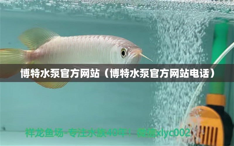 博特水泵官方网站（博特水泵官方网站电话）