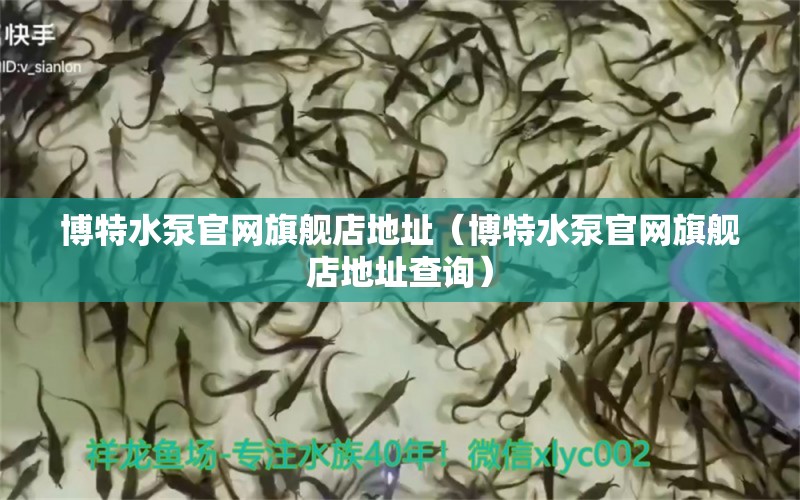 博特水泵官网旗舰店地址（博特水泵官网旗舰店地址查询）