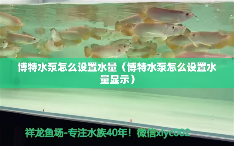 博特水泵怎么设置水量（博特水泵怎么设置水量显示）