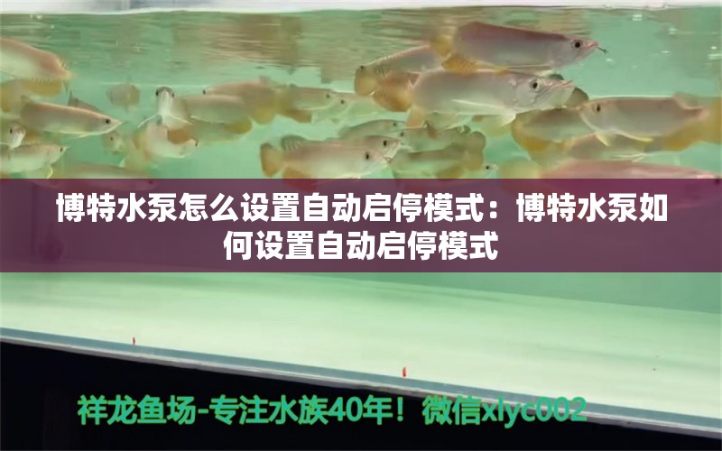 博特水泵怎么设置自动启停模式：博特水泵如何设置自动启停模式