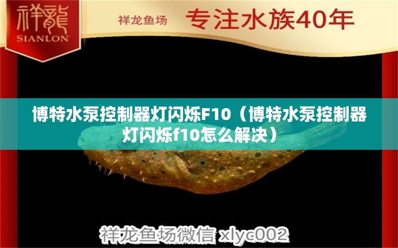 博特水泵控制器灯闪烁F10（博特水泵控制器灯闪烁f10怎么解决）