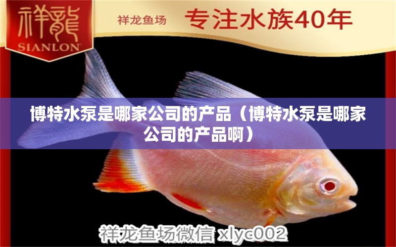 博特水泵是哪家公司的产品（博特水泵是哪家公司的产品啊） 博特水族