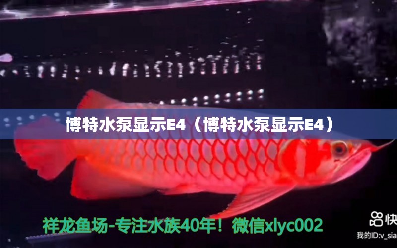 博特水泵显示E4（博特水泵显示E4）