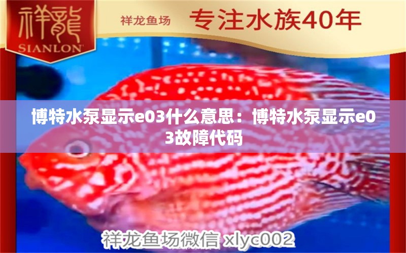 博特水泵显示e03什么意思：博特水泵显示e03故障代码 博特水族 第2张