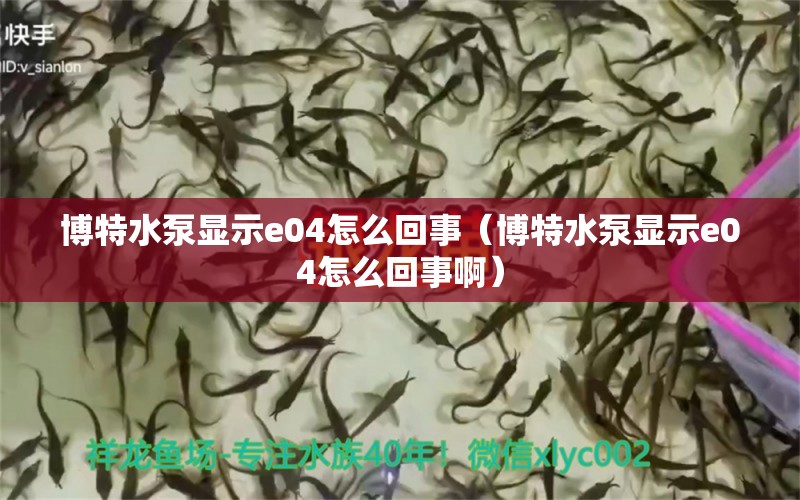 博特水泵显示e04怎么回事（博特水泵显示e04怎么回事啊）