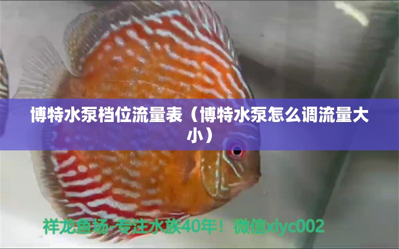 博特水泵档位流量表（博特水泵怎么调流量大小）