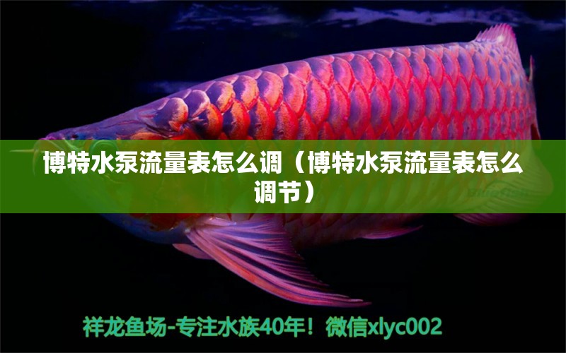 博特水泵流量表怎么调（博特水泵流量表怎么调节）