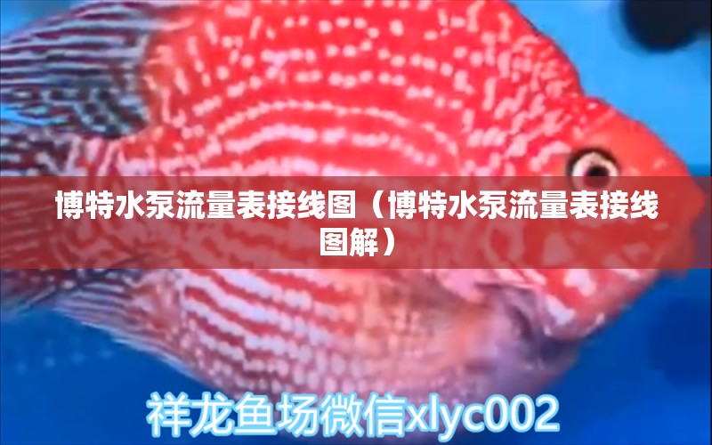 博特水泵流量表接线图（博特水泵流量表接线图解）