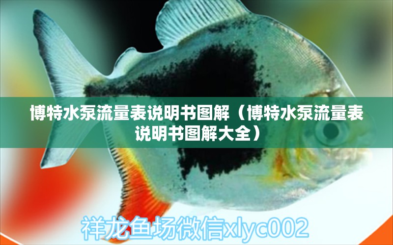 博特水泵流量表说明书图解（博特水泵流量表说明书图解大全）